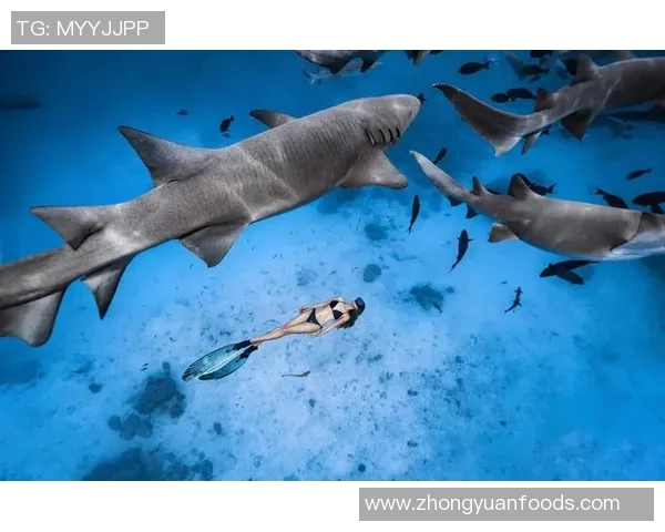 菲律宾与马尔代夫精彩对决录像回放分析及精彩瞬间集锦 菲律宾与马尔代夫精彩对决录像回放分析及精彩瞬间集锦