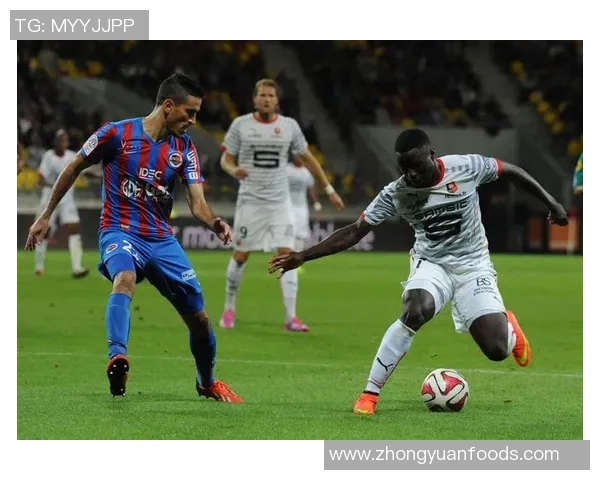 尼斯对卡昂比赛结果分析及比分预测详解 尼斯对卡昂比赛结果分析及比分预测详解