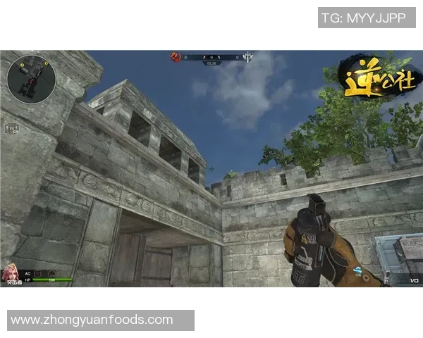 张磊深度解析英雄联盟游戏技巧与心得分享助你提升战斗力