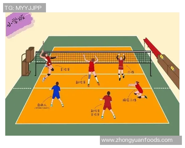 聚焦排球：探讨成都排球队在战术灵活性与团队协作中的优势与挑战