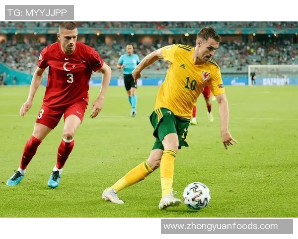 蒙特利埃主场迎战里尔争夺法甲积分榜关键战役