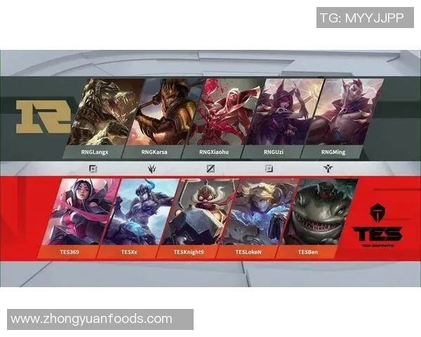 深入分析TES区域防守战术的核心理念与实战应用