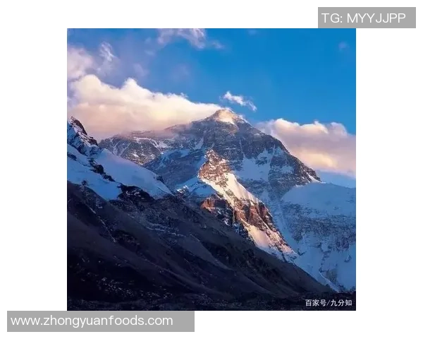 攀登人生的巅峰：吴静与深度对话的心路历程