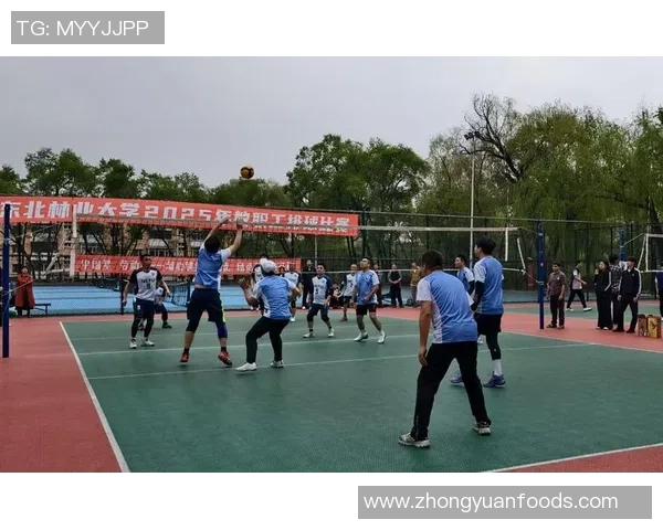 武汉排球队实力变革引发热议展现新风貌与未来潜力