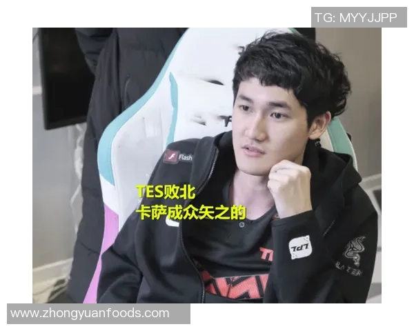 深度分析TES战队阵地战策略及其在比赛中的应用与影响